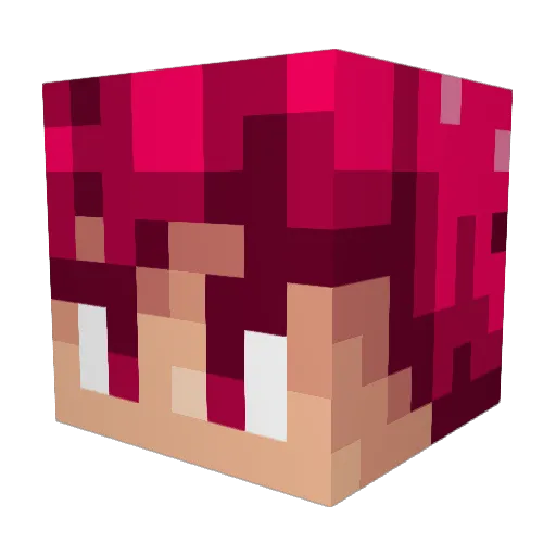 kouki627 Minecraft avatar head, 3D render