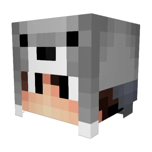 koushi05 Minecraft avatar head, 3D render