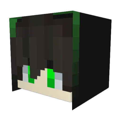 kouta2206 Minecraft avatar head, 3D render