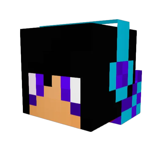koyaponzu Minecraft avatar head, 3D render