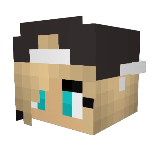 kozmo2k16 Minecraft avatar head, 3D render
