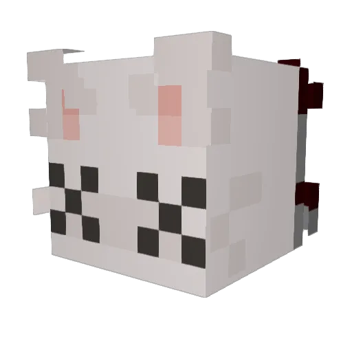 kqce Minecraft avatar head, 3D render