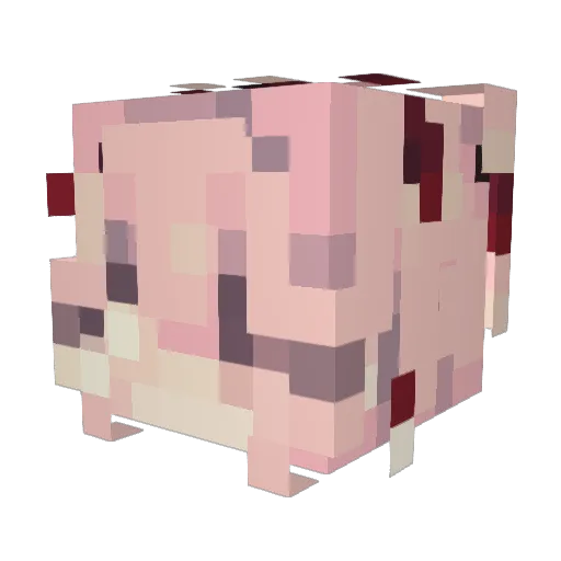 kqhv Minecraft avatar head, 3D render