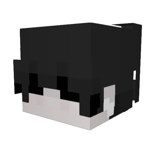 kr1pster Minecraft avatar head, 3D render