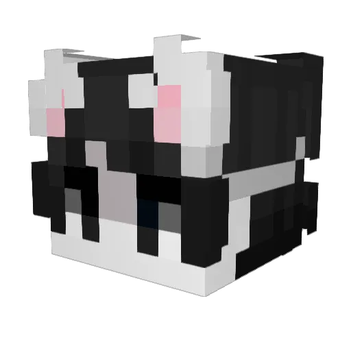 krabzwastaken Minecraft avatar head, 3D render
