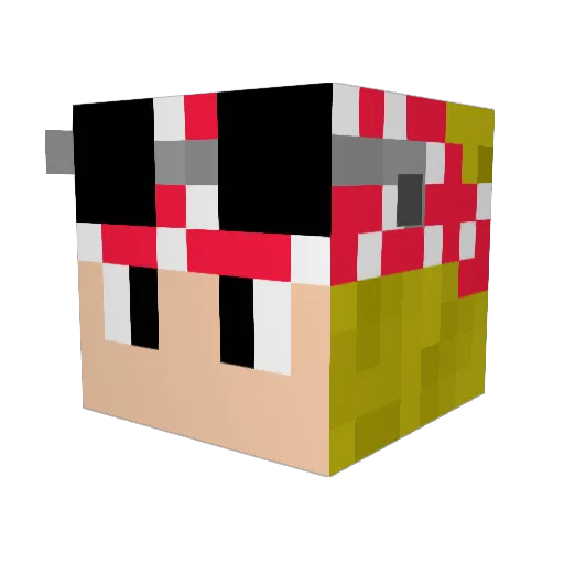 kraken1996 Minecraft avatar head, 3D render