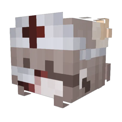 krakenami Minecraft avatar head, 3D render