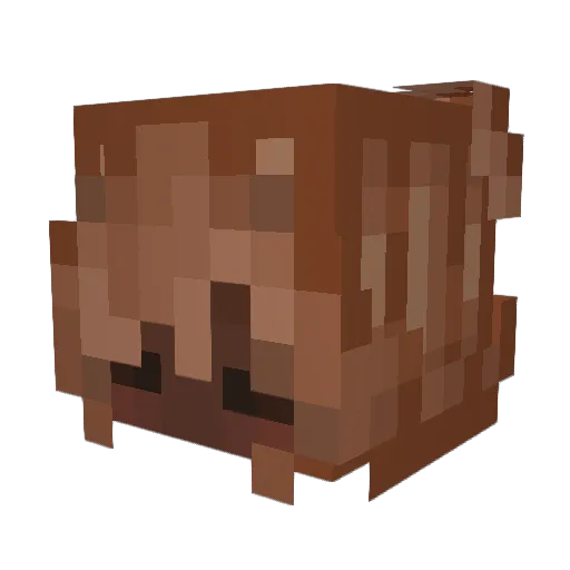 kratzinger Minecraft avatar head, 3D render