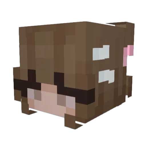 krawallmieze Minecraft avatar head, 3D render