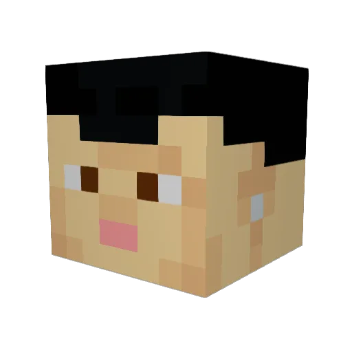 krawietz Minecraft avatar head, 3D render