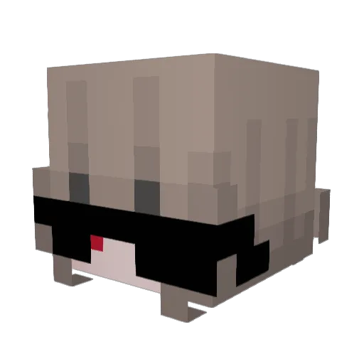krayon11111 Minecraft avatar head, 3D render