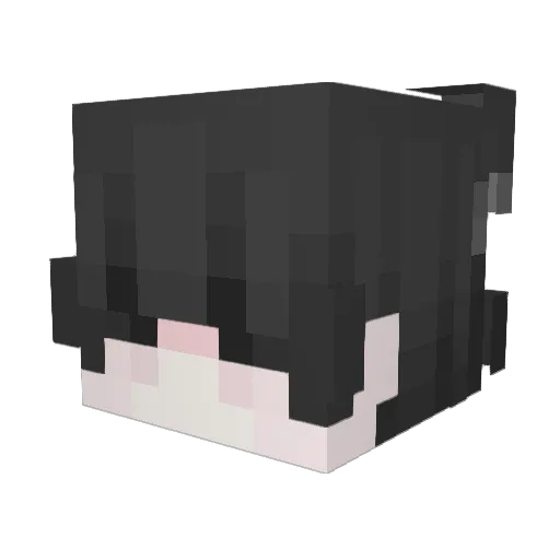 krezeeeeeeeeeee Minecraft avatar head, 3D render