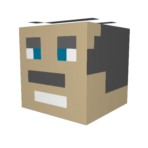krille100 Minecraft avatar head, 3D render