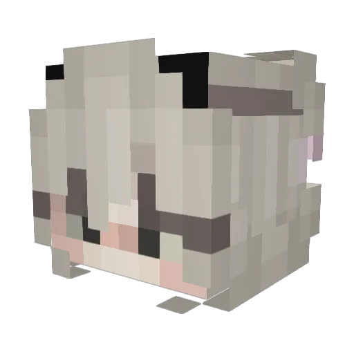 kris5537 Minecraft avatar head, 3D render