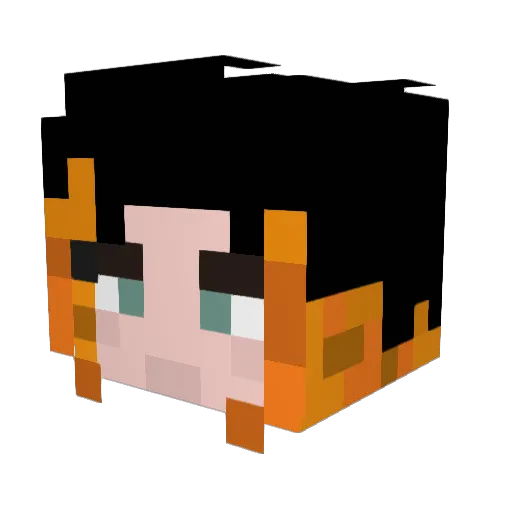 kris996633 Minecraft avatar head, 3D render