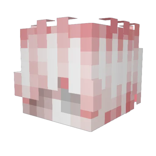 krispaCPVP Minecraft avatar head, 3D render