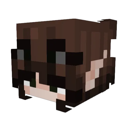 kristal07 Minecraft avatar head, 3D render