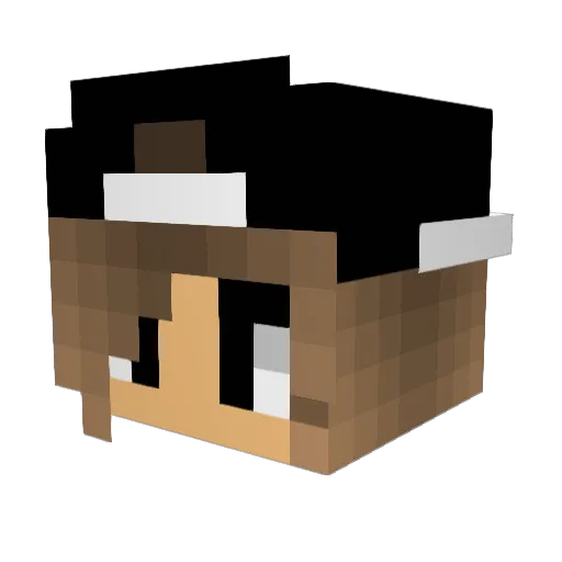 kristd1206 Minecraft avatar head, 3D render