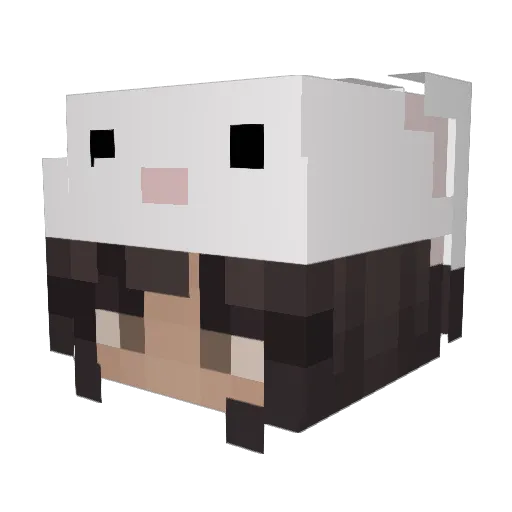 kristianaa Minecraft avatar head, 3D render
