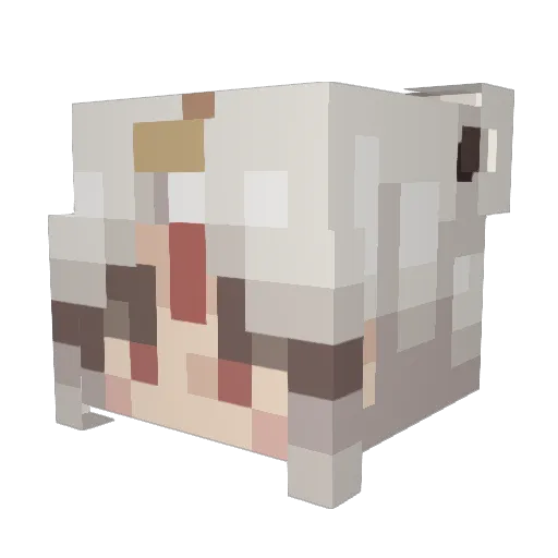 kristin9810 Minecraft avatar head, 3D render