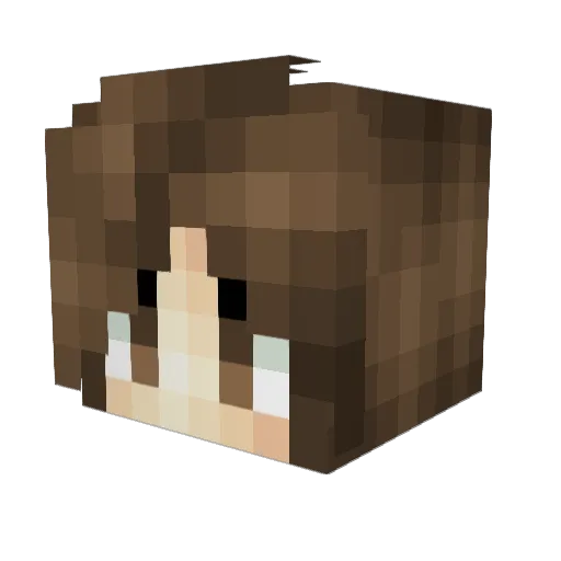 kristjan0519 Minecraft avatar head, 3D render