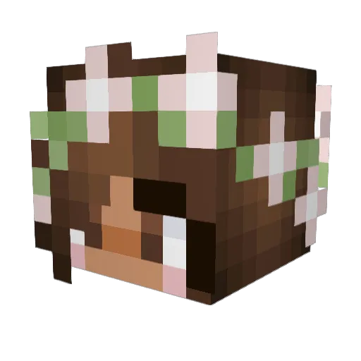 kristnl Minecraft avatar head, 3D render