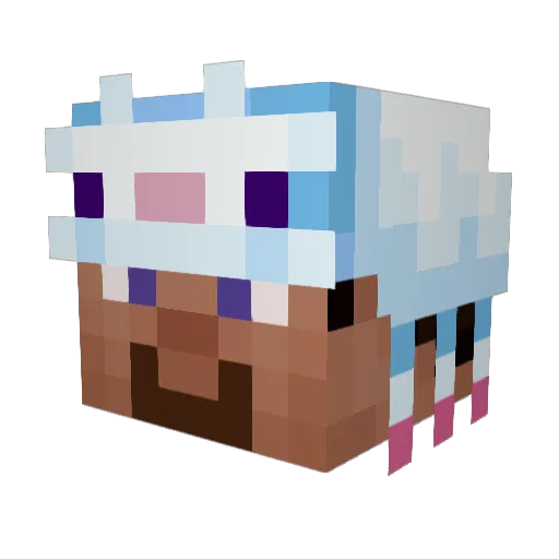 krisu050 Minecraft avatar head, 3D render