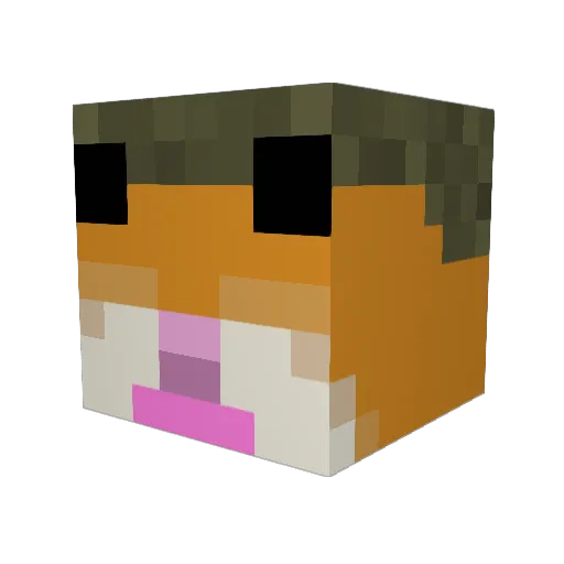 krogger Minecraft avatar head, 3D render