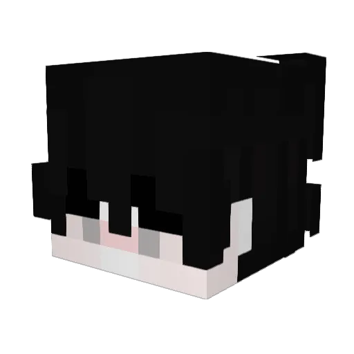 krowana5te2ydach Minecraft avatar head, 3D render