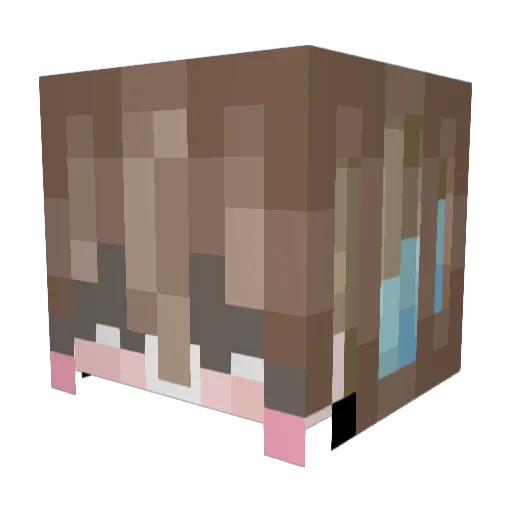 kruas_an72 Minecraft avatar head, 3D render
