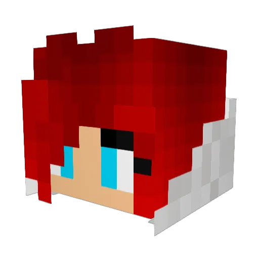krunchytuna Minecraft avatar head, 3D render