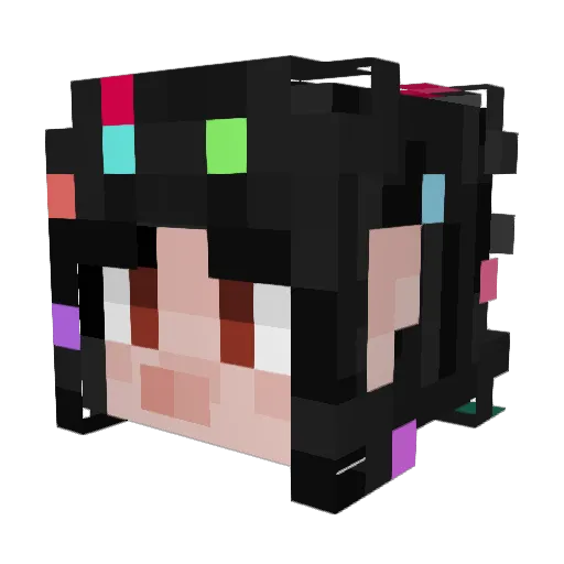 krustykarpet Minecraft avatar head, 3D render