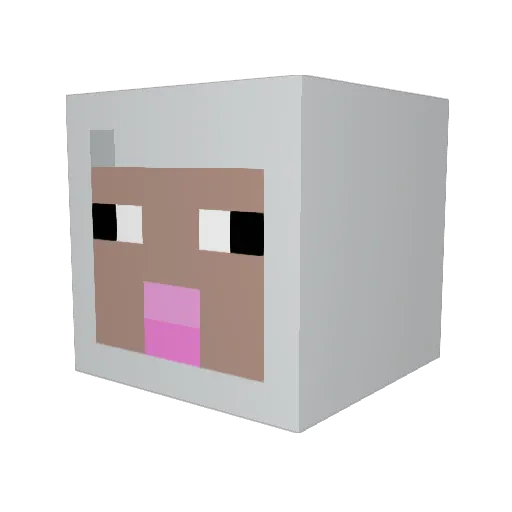 krustypoo Minecraft avatar head, 3D render