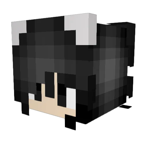 krx0 Minecraft avatar head, 3D render