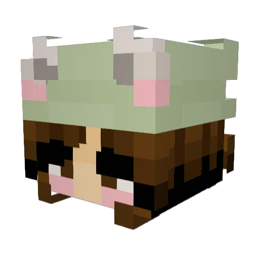 krxstenp Minecraft avatar head, 3D render