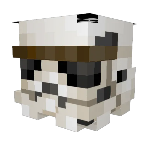 kryki2 Minecraft avatar head, 3D render