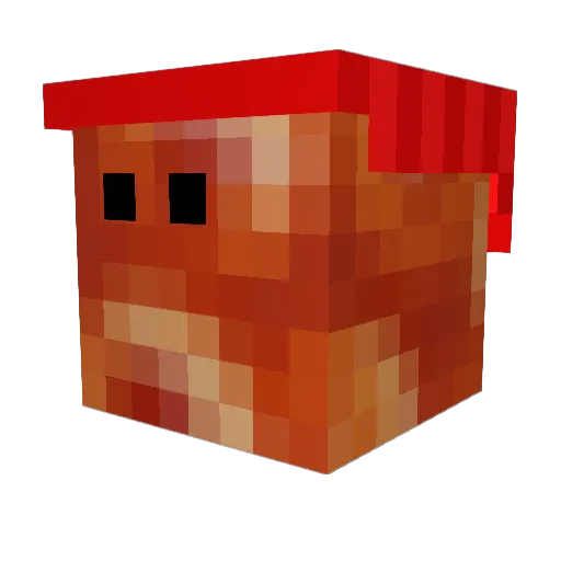 kryptickiller11 Minecraft avatar head, 3D render