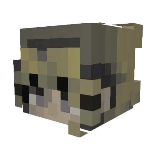 krypticorchid Minecraft avatar head, 3D render