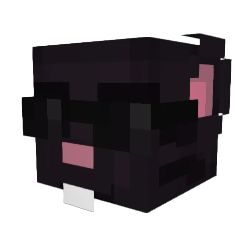 kryptonite65684 Minecraft avatar head, 3D render