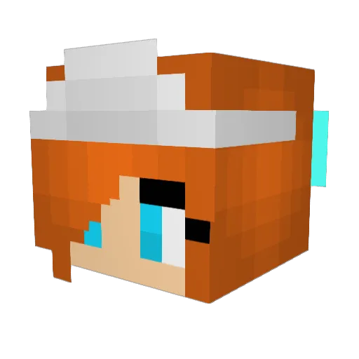 kryptonite813 Minecraft avatar head, 3D render