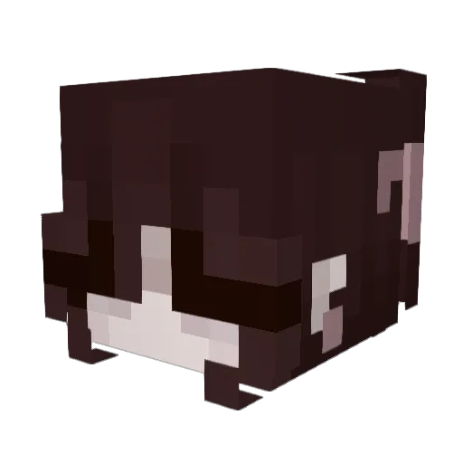 krysoo Minecraft avatar head, 3D render