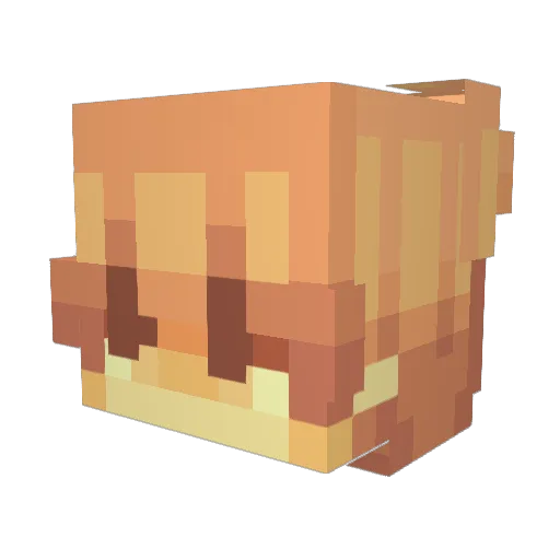 krystof1401 Minecraft avatar head, 3D render