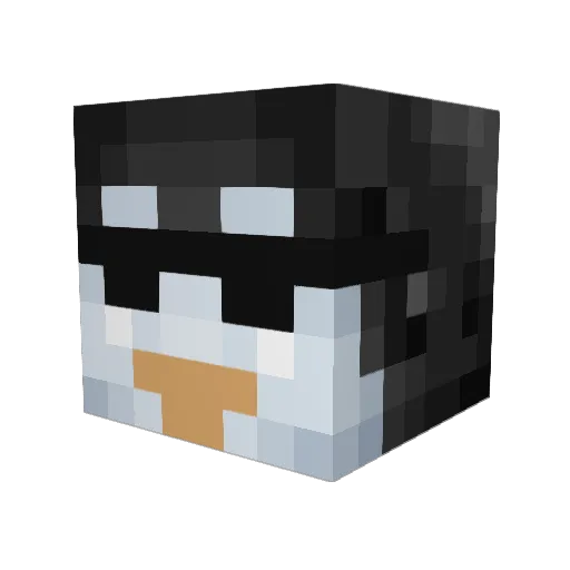 krzychu_urbex Minecraft avatar head, 3D render