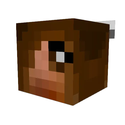 ksam1234 Minecraft avatar head, 3D render