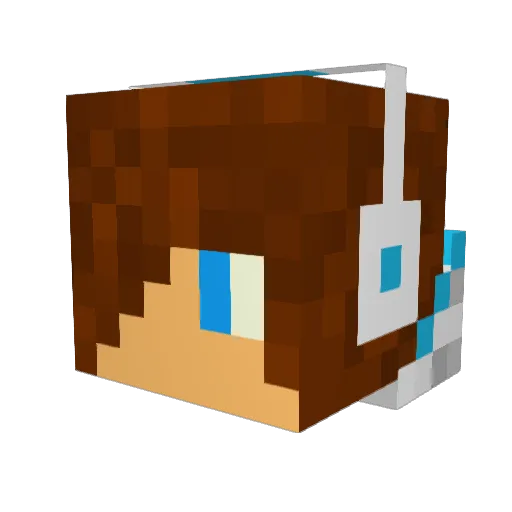 ksaminer Minecraft avatar head, 3D render