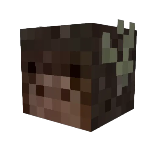 kshong11 Minecraft avatar head, 3D render