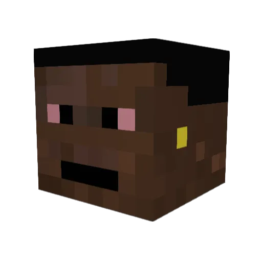 ksjsa Minecraft avatar head, 3D render