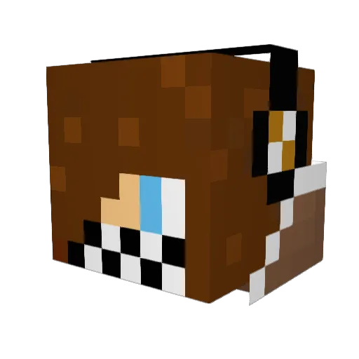ksm1116 Minecraft avatar head, 3D render