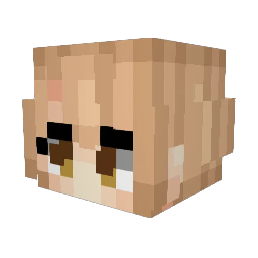 kssg Minecraft avatar head, 3D render