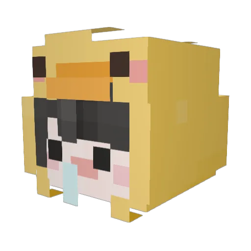 ksw3491 Minecraft avatar head, 3D render